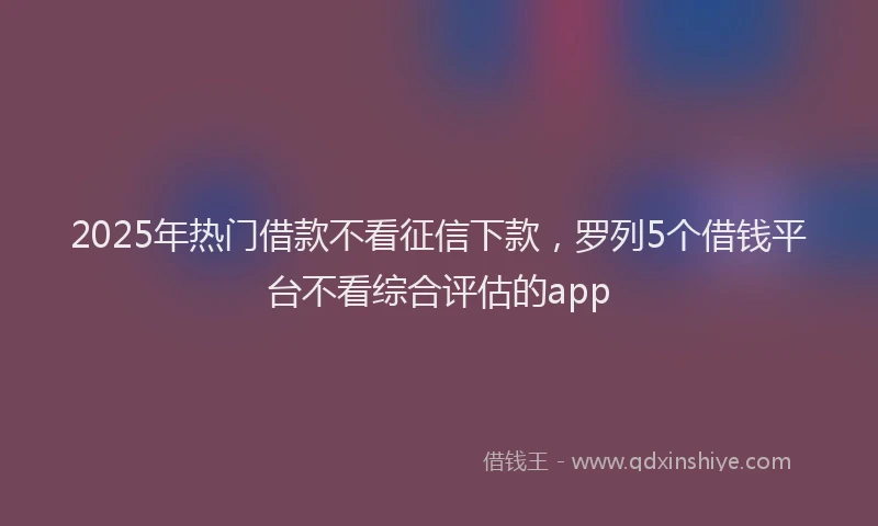 2025年热门借款不看征信下款，罗列5个借钱平台不看综合评估的app