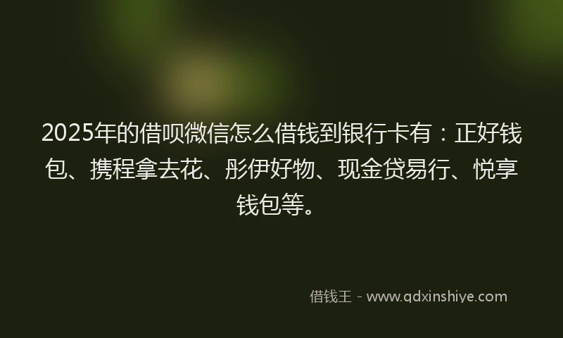 2025年的借呗微信怎么借钱到银行卡有：正好钱包、携程拿去花、彤伊好物、现金贷易行、悦享钱包等。