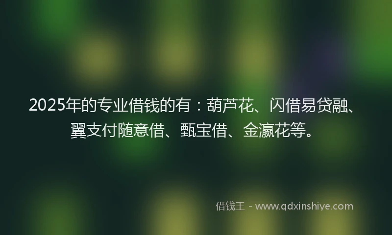 2025年的专业借钱的有：葫芦花、闪借易贷融、翼支付随意借、甄宝借、金瀛花等。