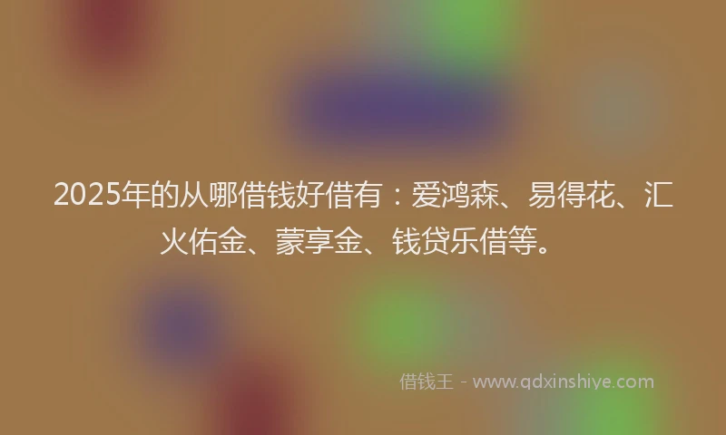 2025年的从哪借钱好借有：爱鸿森、易得花、汇火佑金、蒙享金、钱贷乐借等。