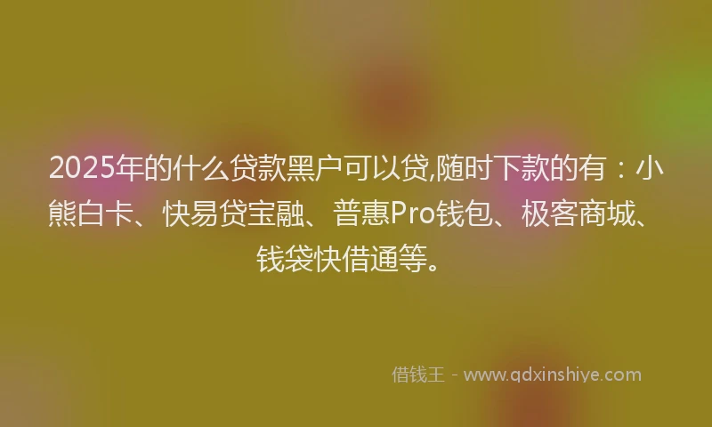 2025年的什么贷款黑户可以贷,随时下款的有：小熊白卡、快易贷宝融、普惠Pro钱包、极客商城、钱袋快借通等。