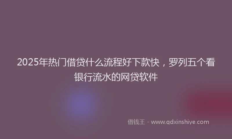 2025年热门借贷什么流程好下款快，罗列五个看银行流水的网贷软件