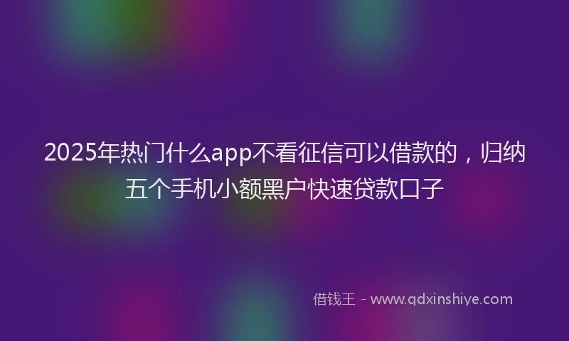 2025年热门什么app不看征信可以借款的，归纳五个手机小额黑户快速贷款口子