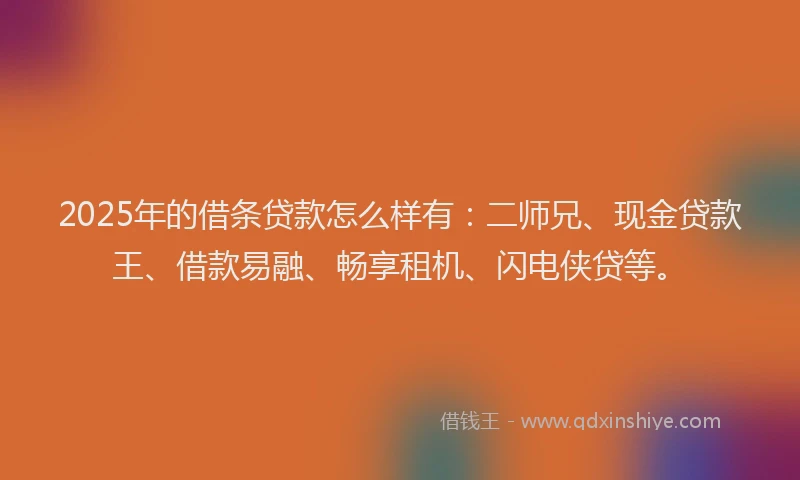 2025年的借条贷款怎么样有：二师兄、现金贷款王、借款易融、畅享租机、闪电侠贷等。