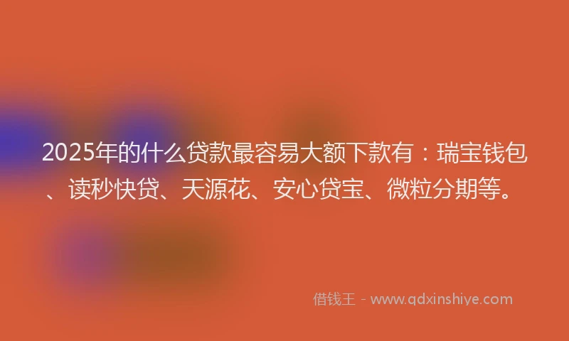 2025年的什么贷款最容易大额下款有：瑞宝钱包、读秒快贷、天源花、安心贷宝、微粒分期等。