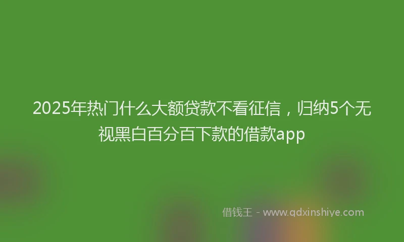 2025年热门什么大额贷款不看征信，归纳5个无视黑白百分百下款的借款app