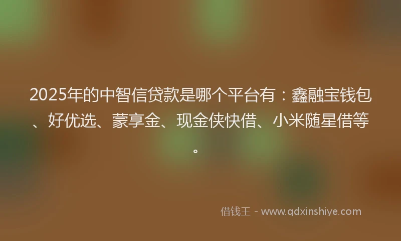 2025年的中智信贷款是哪个平台有：鑫融宝钱包、好优选、蒙享金、现金侠快借、小米随星借等。