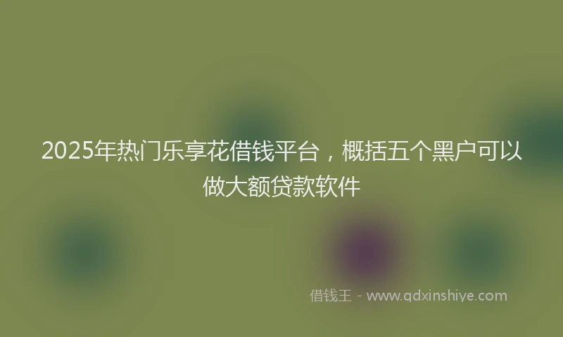 2025年热门乐享花借钱平台，概括五个黑户可以做大额贷款软件