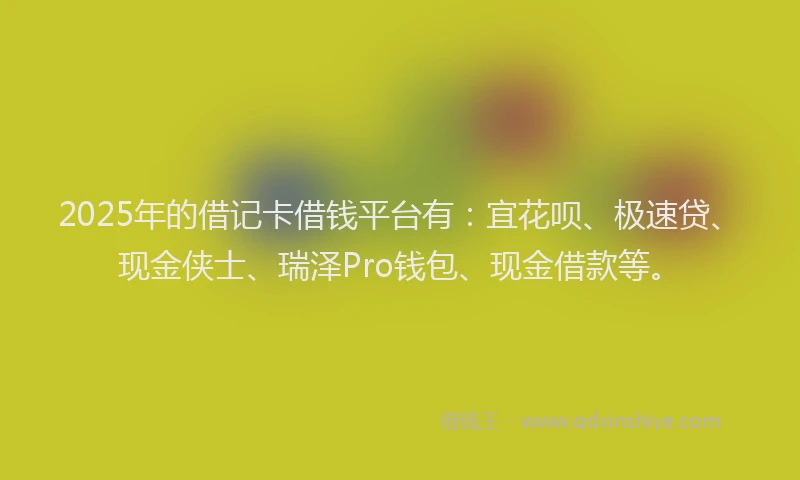 2025年的借记卡借钱平台有：宜花呗、极速贷、现金侠士、瑞泽Pro钱包、现金借款等。