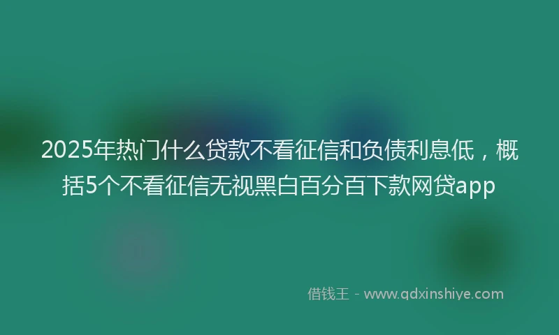 2025年热门什么贷款不看征信和负债利息低,概括5个不看征信无视黑白百分百下款网贷app