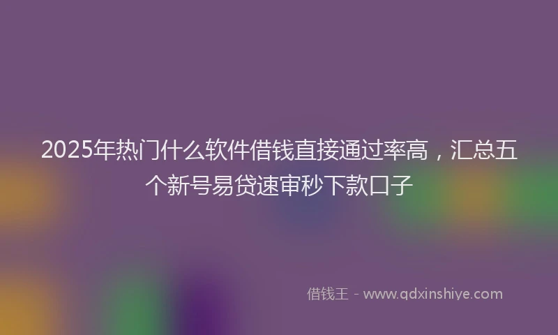 2025年热门什么软件借钱直接通过率高，汇总五个新号易贷速审秒下款口子