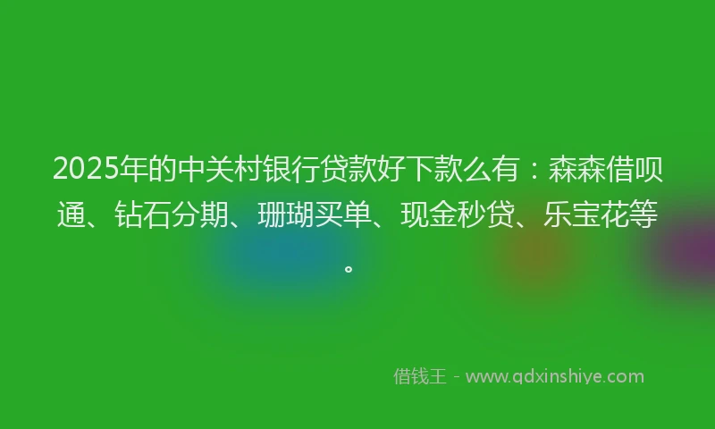 2025年的中关村银行贷款好下款么有：森森借呗通、钻石分期、珊瑚买单、现金秒贷、乐宝花等。