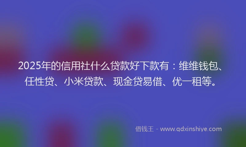 2025年的信用社什么贷款好下款有：维维钱包、任性贷、小米贷款、现金贷易借、优一租等。
