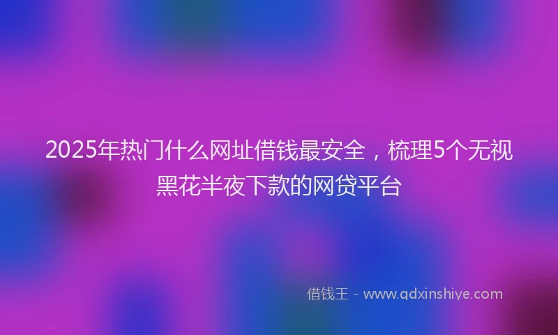2025年热门什么网址借钱最安全，梳理5个无视黑花半夜下款的网贷平台