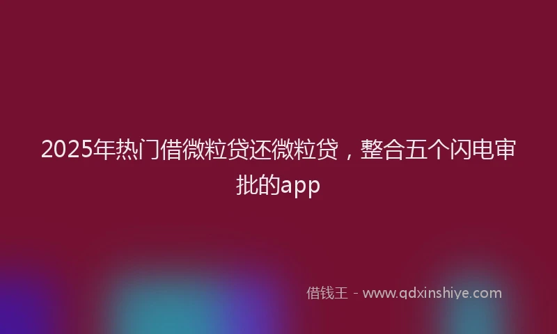 2025年热门借微粒贷还微粒贷，整合五个闪电审批的app