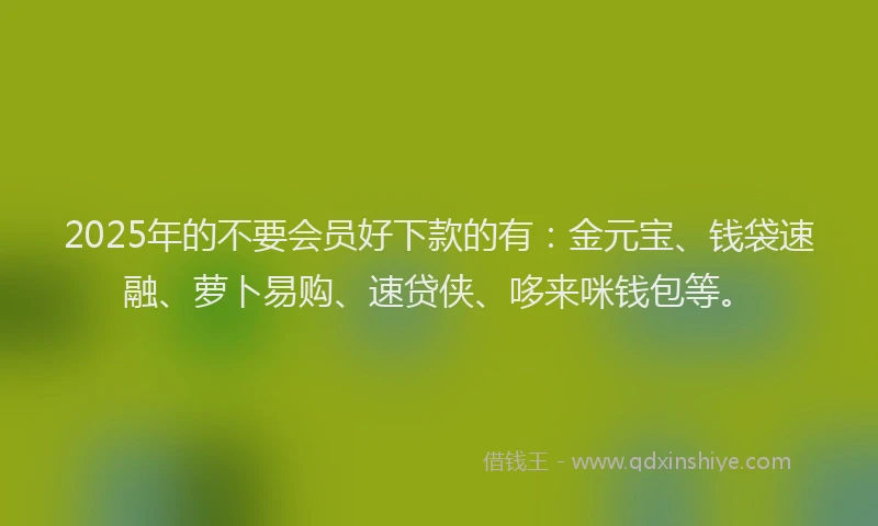 2025年的不要会员好下款的有：金元宝、钱袋速融、萝卜易购、速贷侠、哆来咪钱包等。