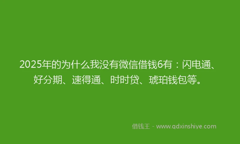 2025年的为什么我没有微信借钱6有：闪电通、好分期、速得通、时时贷、琥珀钱包等。