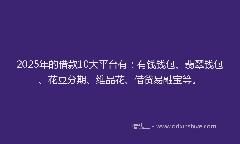 2025年的借款10大平台有：有钱钱包、翡翠钱包、花豆分期、维品花、借贷易融宝等。