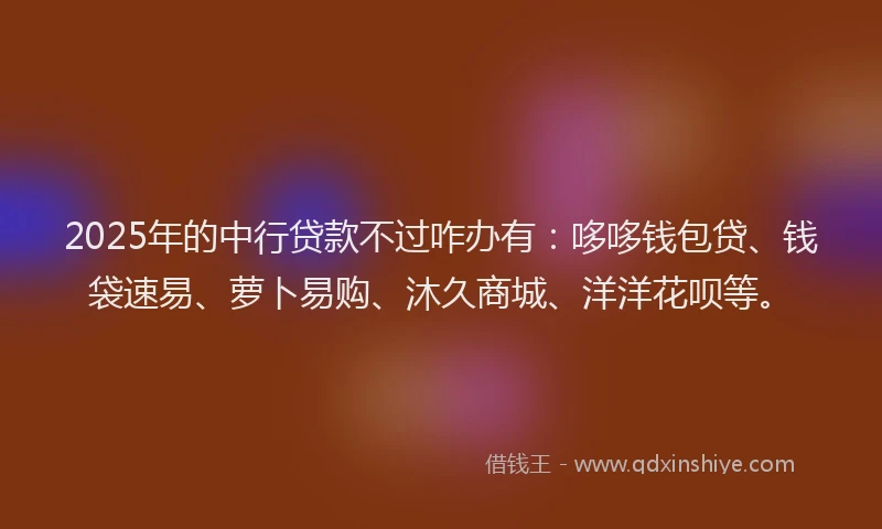 2025年的中行贷款不过咋办有：哆哆钱包贷、钱袋速易、萝卜易购、沐久商城、洋洋花呗等。
