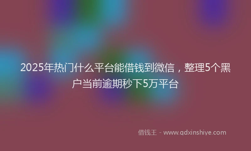 2025年热门什么平台能借钱到微信，整理5个黑户当前逾期秒下5万平台