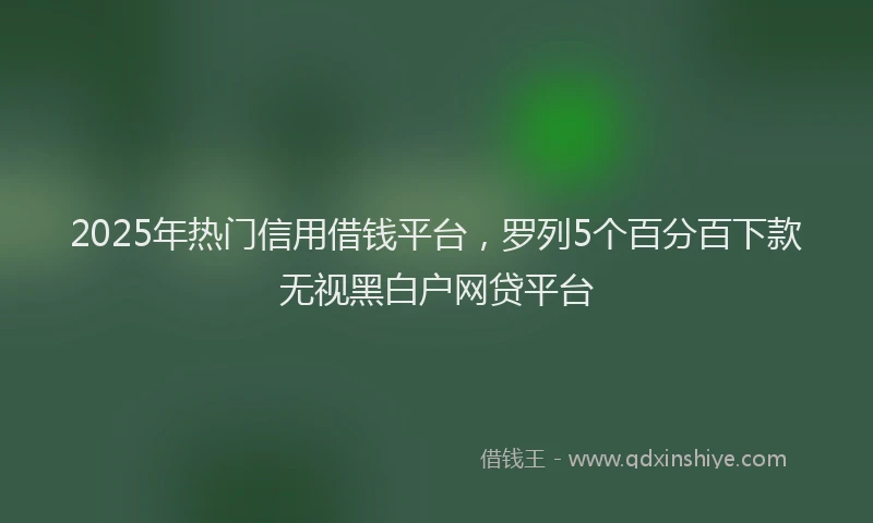 2025年热门信用借钱平台，罗列5个百分百下款无视黑白户网贷平台