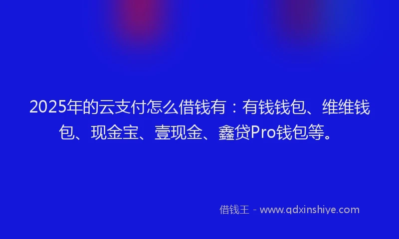 2025年的云支付怎么借钱有：有钱钱包、维维钱包、现金宝、壹现金、鑫贷Pro钱包等。
