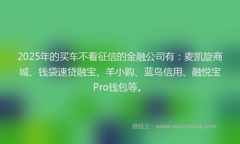 2025年的买车不看征信的金融公司有：麦凯旋商城、钱袋速贷融宝、羊小购、蓝鸟信用、融悦宝Pro钱包等。