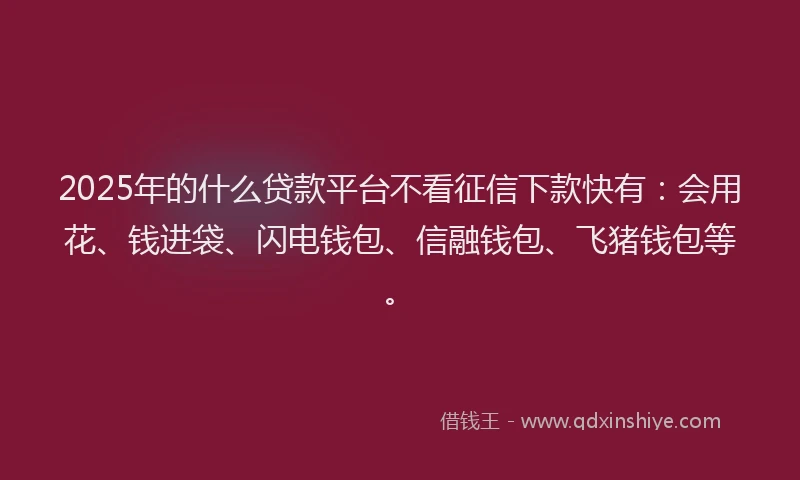 2025年的什么贷款平台不看征信下款快有：会用花、钱进袋、闪电钱包、信融钱包、飞猪钱包等。