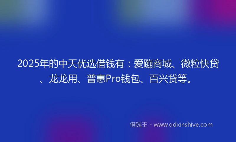 2025年的中天优选借钱有：爱蹦商城、微粒快贷、龙龙用、普惠Pro钱包、百兴贷等。