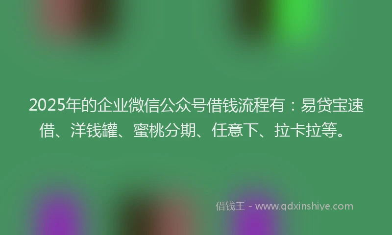 2025年的企业微信公众号借钱流程有：易贷宝速借、洋钱罐、蜜桃分期、任意下、拉卡拉等。