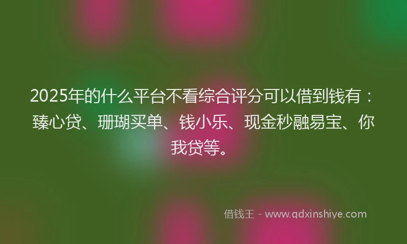 2025年的什么平台不看综合评分可以借到钱有：臻心贷、珊瑚买单、钱小乐、现金秒融易宝、你我贷等。