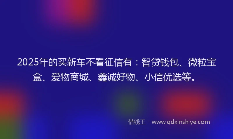 2025年的买新车不看征信有：智贷钱包、微粒宝盒、爱物商城、鑫诚好物、小信优选等。