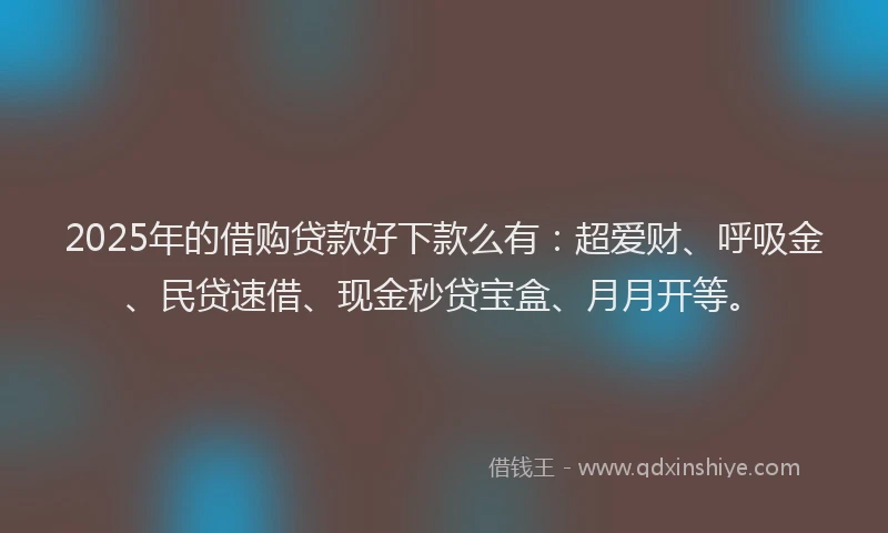 2025年的借购贷款好下款么有：超爱财、呼吸金、民贷速借、现金秒贷宝盒、月月开等。