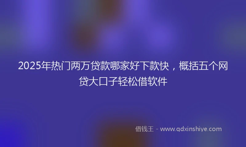 2025年热门两万贷款哪家好下款快，概括五个网贷大口子轻松借软件