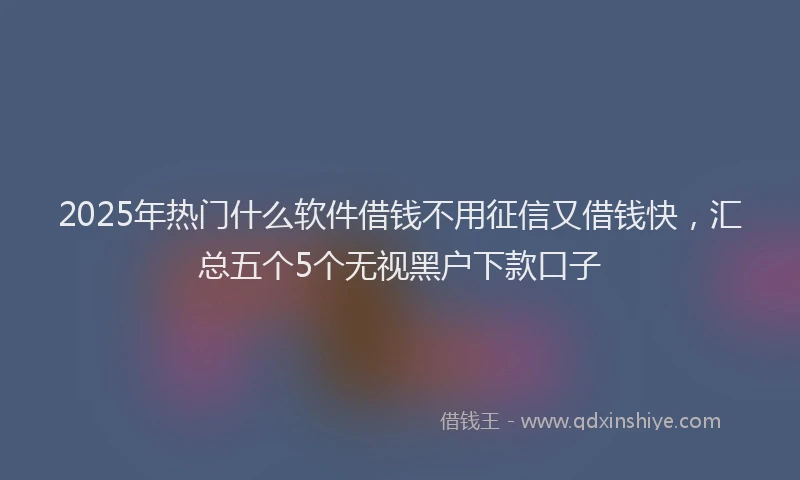 2025年热门什么软件借钱不用征信又借钱快，汇总五个5个无视黑户下款口子