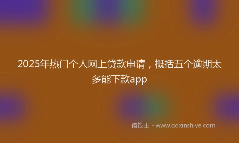 2025年热门个人网上贷款申请，概括五个逾期太多能下款app