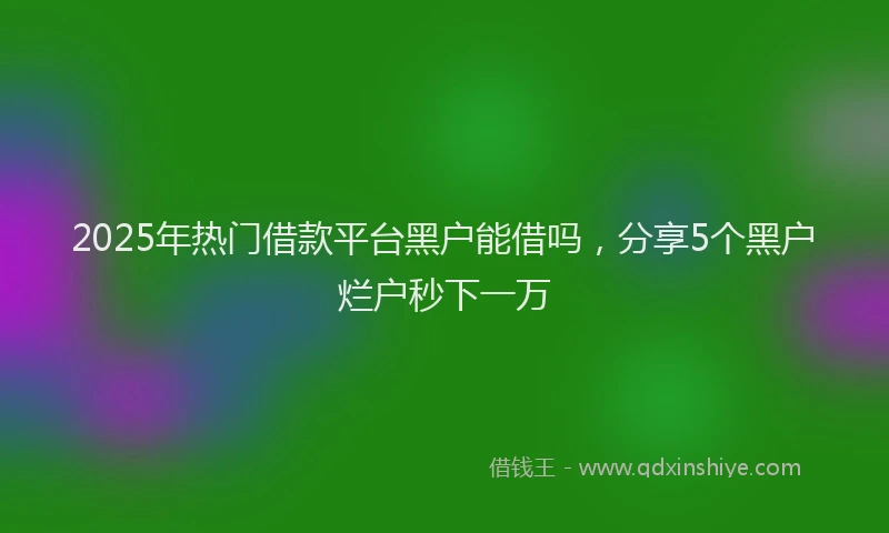 2025年热门借款平台黑户能借吗，分享5个黑户烂户秒下一万