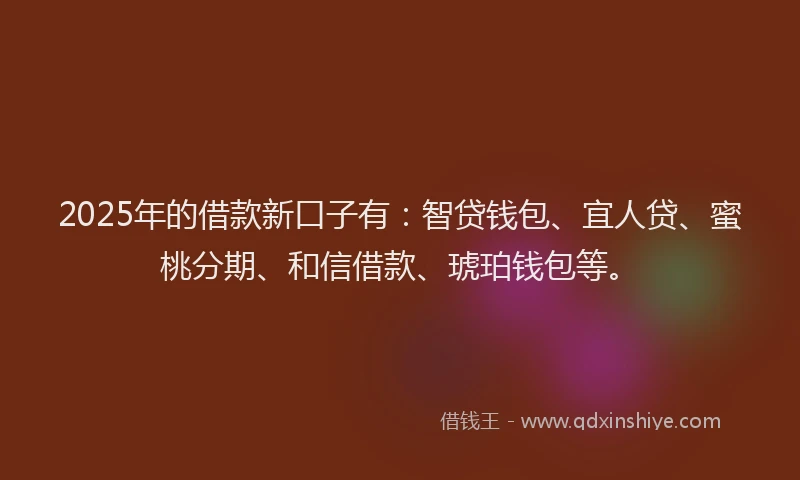 2025年的借款新口子有：智贷钱包、宜人贷、蜜桃分期、和信借款、琥珀钱包等。