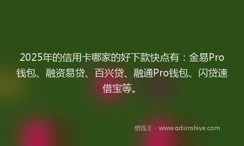 2025年的信用卡哪家的好下款快点有：金易Pro钱包、融资易贷、百兴贷、融通Pro钱包、闪贷速借宝等。