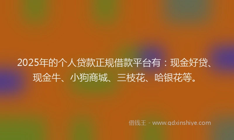 2025年的个人贷款正规借款平台有：现金好贷、现金牛、小狗商城、三枝花、哈银花等。