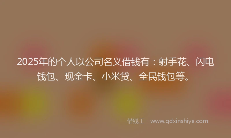 2025年的个人以公司名义借钱有：射手花、闪电钱包、现金卡、小米贷、全民钱包等。