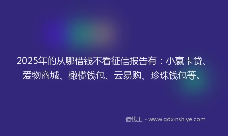 2025年的从哪借钱不看征信报告有：小赢卡贷、爱物商城、橄榄钱包、云易购、珍珠钱包等。