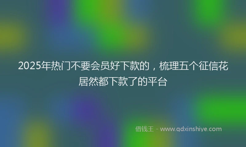 2025年热门不要会员好下款的，梳理五个征信花居然都下款了的平台