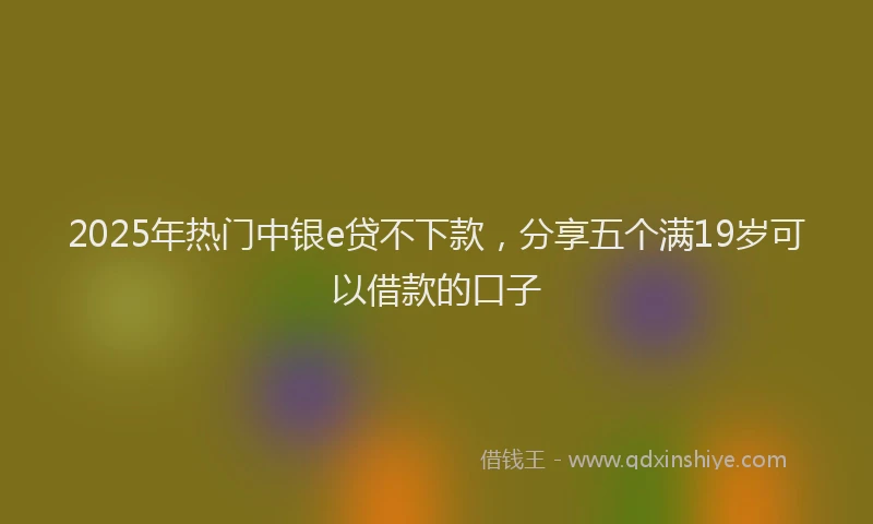 2025年热门中银e贷不下款，分享五个满19岁可以借款的口子