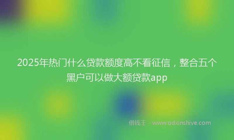 2025年热门什么贷款额度高不看征信，整合五个黑户可以做大额贷款app