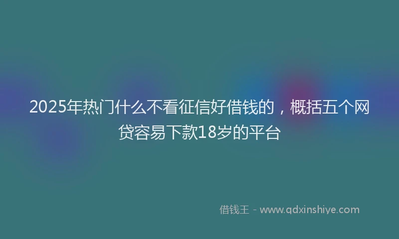 2025年热门什么不看征信好借钱的,概括五个网贷容易下款18岁的平台