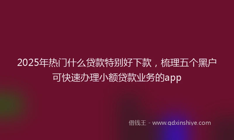 2025年热门什么贷款特别好下款，梳理五个黑户可快速办理小额贷款业务的app