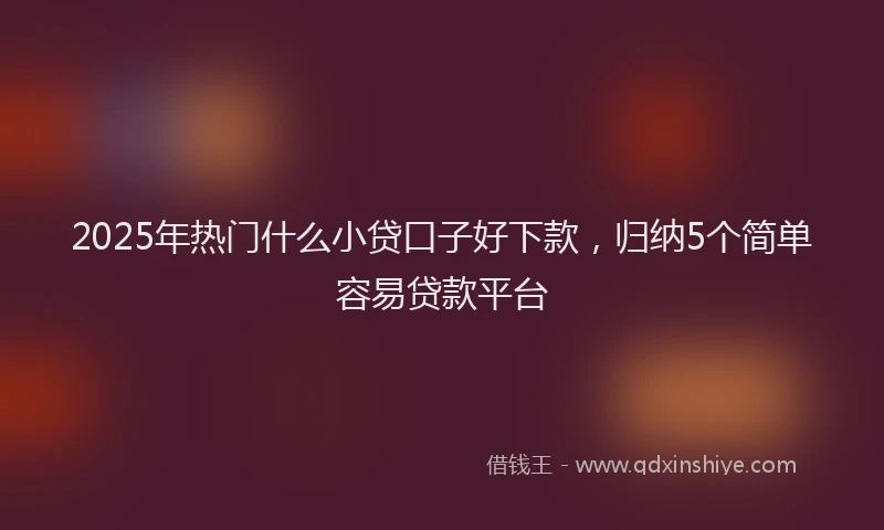 2025年热门什么小贷口子好下款，归纳5个简单容易贷款平台