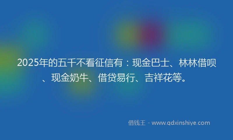 2025年的五千不看征信有：现金巴士、林林借呗、现金奶牛、借贷易行、吉祥花等。