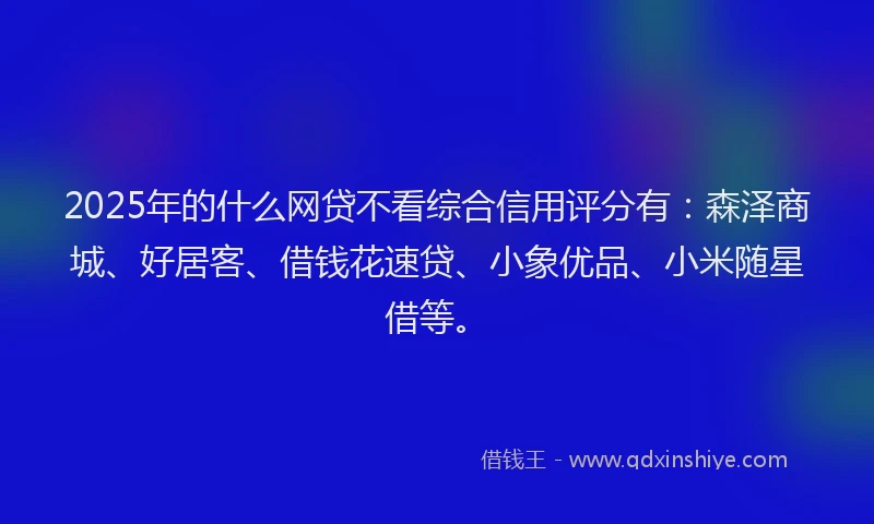 2025年的什么网贷不看综合信用评分有：森泽商城、好居客、借钱花速贷、小象优品、小米随星借等。